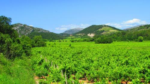 Holiday Home Stari Zoganj