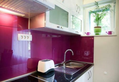Apartment Snjezanal- In The Center
