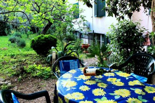 Apartment Brane - Location & Garden
