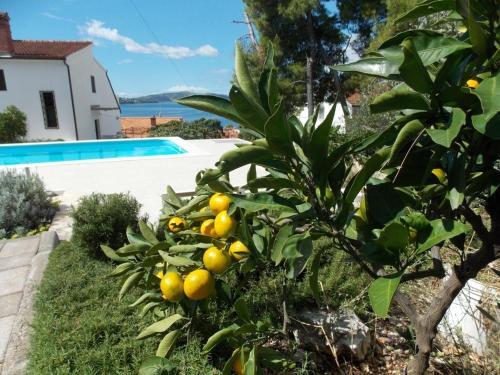 Apartmenthouse Trogir (4236)