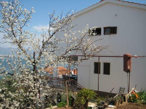 Apartments Petar - Great Location