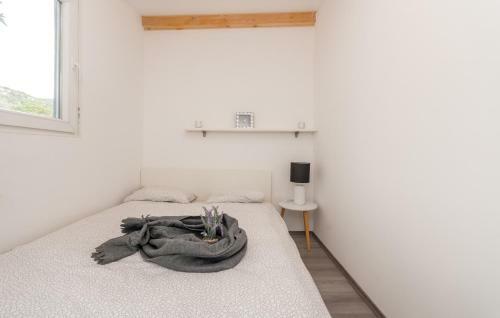 Luxury Bungalows With Pool Dream Of Kornati