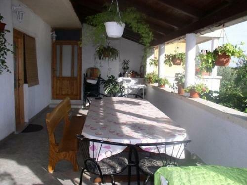 Apartments Kuzma - Afordable