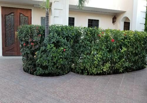 Villa Elegance Hotel & Apartment