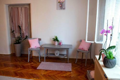 Vir�g Var�zs Vend�gh�z