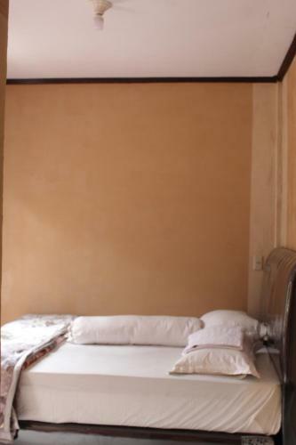 Hostal Airangga Home Stay Berastagi