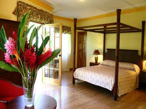 Hotel Bay View Eco Resort & Spa