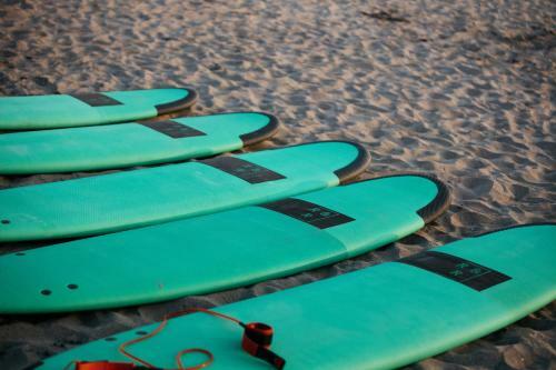 Albergue Rhythm & Rumble
