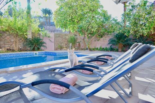 Amdar Residence Apartment - Private Pool, Sea View & Sauna