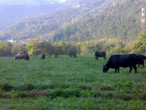 Agroturismo Agriturismo Biobi�