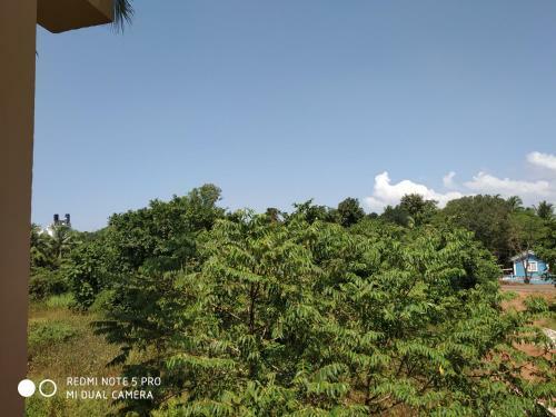 Kiara Hotel Goa