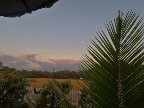 Birdsong, Anjuna (Managed By Hnh)