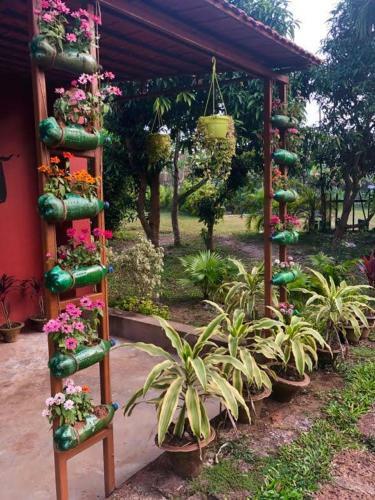Hotel Chandaka Nature Resort