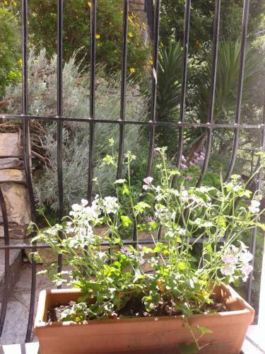 B&B I Glicini