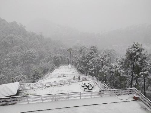 Hotel Kanishka Retreat Resort Chail