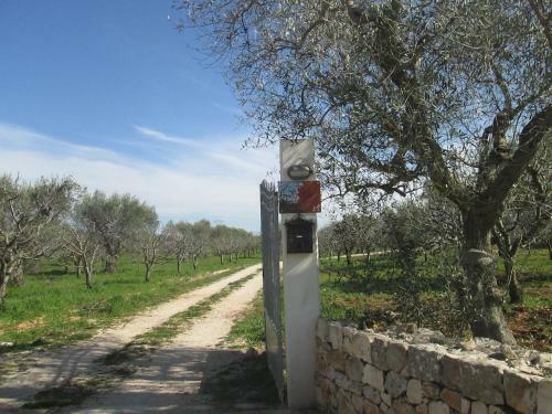 Agroturismo Il Giardino Dei Ciliegi - Turi