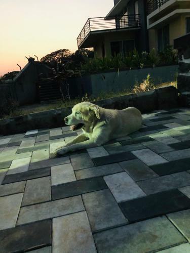 Villa Royal Meadows - Igatpuri Bungalow C