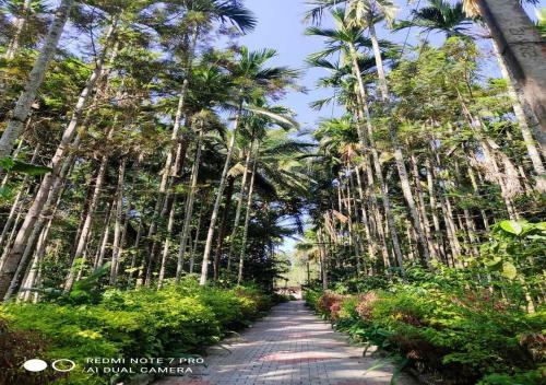 Hotel Coorg Anekad Jungle Stay Resort