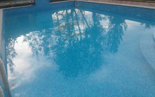 Hotel Coorg Anekad Jungle Stay Resort