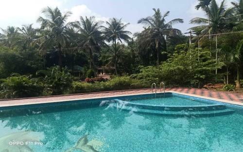 Hotel Coorg Anekad Jungle Stay Resort