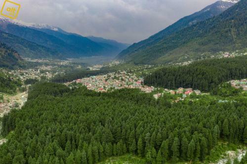 Albergue Alt Life - Manali