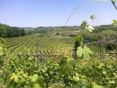 Agroturismo Tenuta Tamburnin