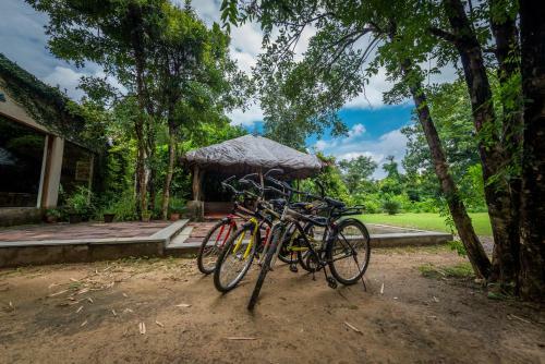 Hotel Beyond Stay Mahua Vann Pench