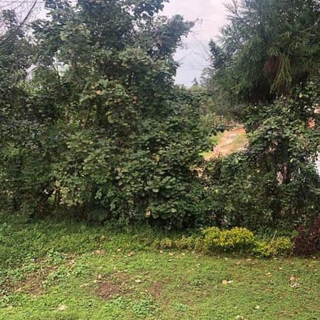 Hotel Shillong Club