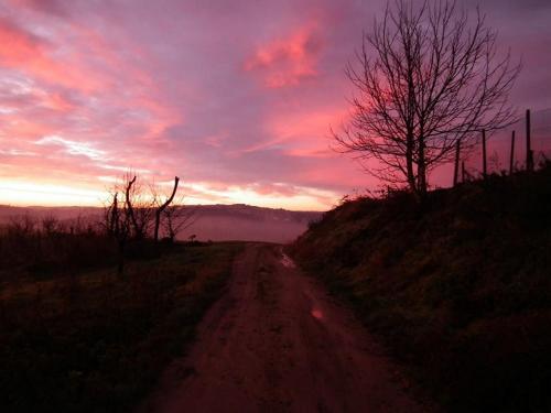 Bed & Breakfast San Rocco Di Isola D'asti