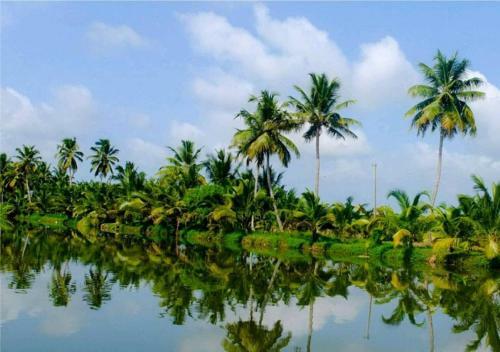 Ekah Backwaters Cruise -houseboat , Alleppey