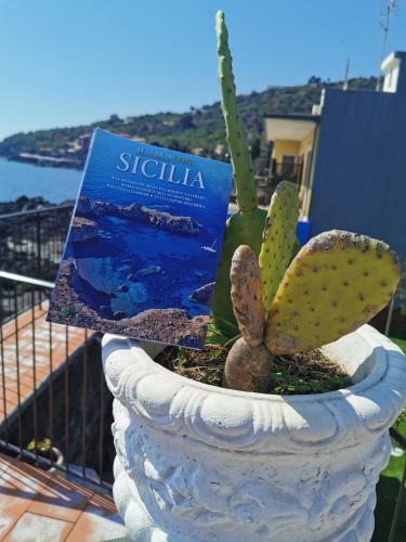 Bed & Breakfast Made In Sicily Santa Tecla