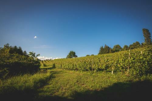 Bed & Breakfast Villa La Meridiana