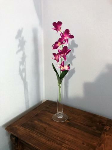 Apartamento Appartment- Betulla
