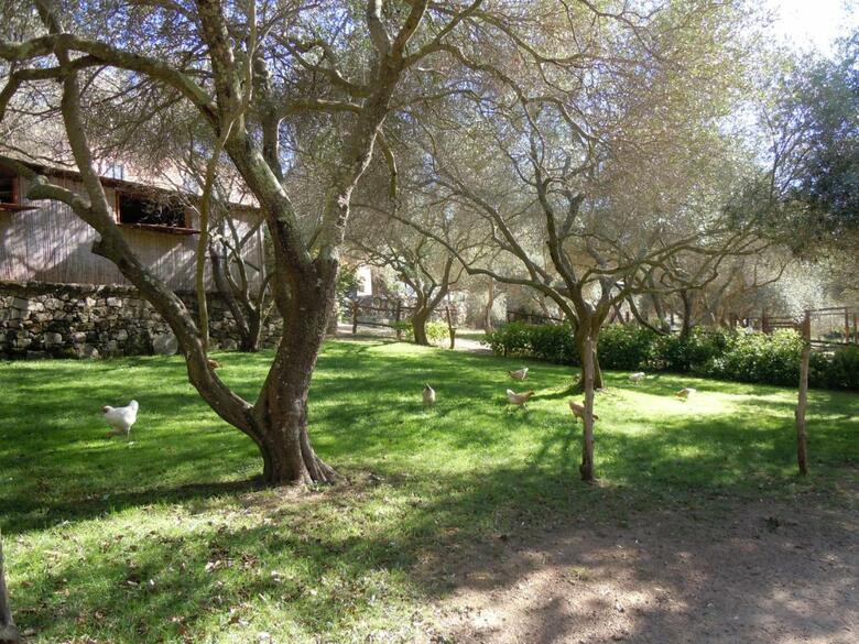 Agroturismo Agriturismo Lu Branu