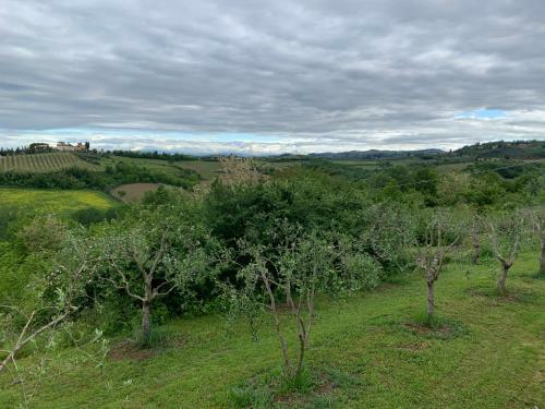 Bed & Breakfast La Volpaia