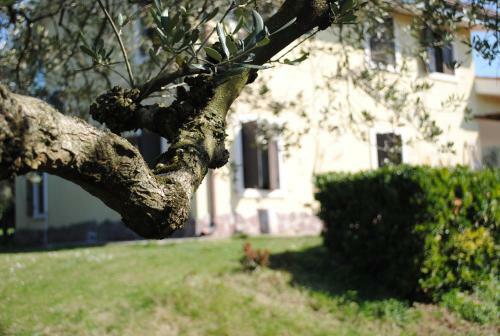Apartamento Agriturismo Melograno D'oro