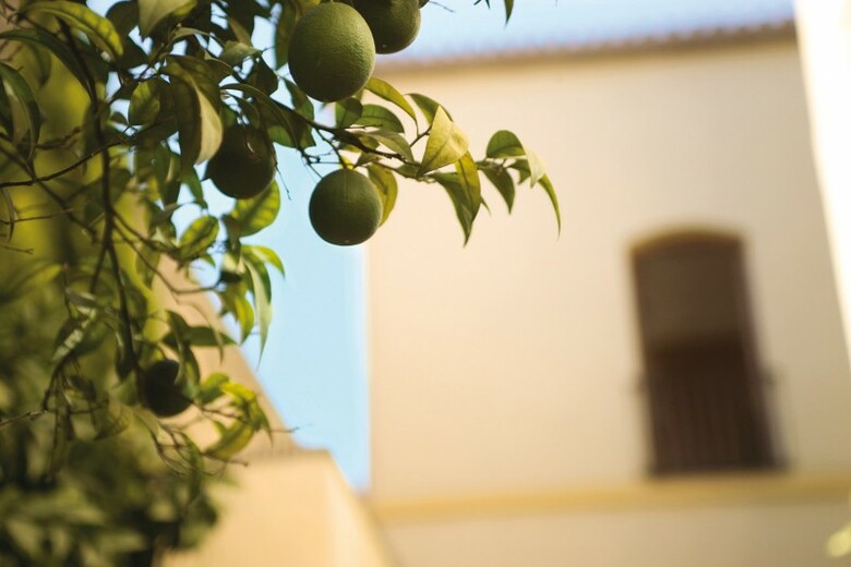 Hotel NH Collection Amistad Cordoba