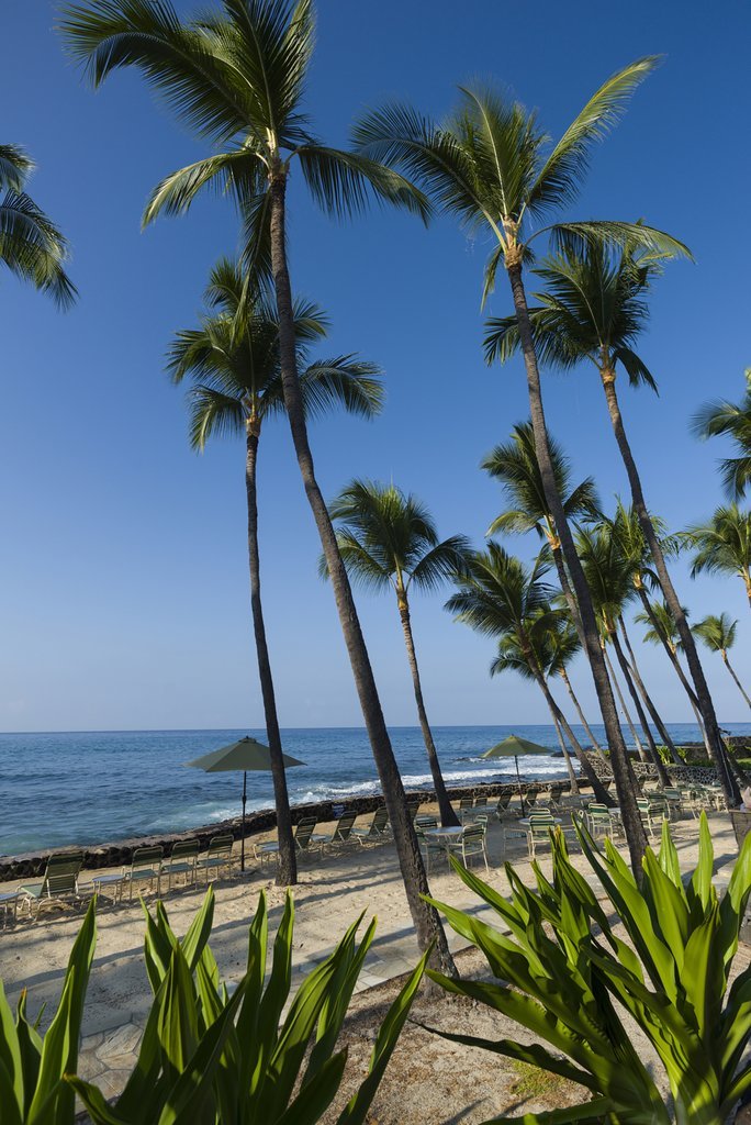 Hotel Aston Kona By The Sea