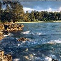 Hotel Turtle Bay Resort