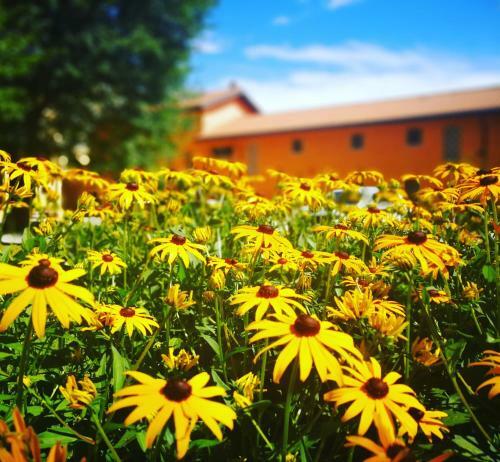 Agroturismo Al Canton Agriturismo Di Design