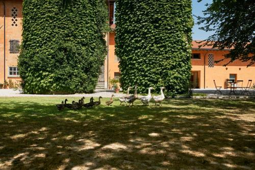 Agroturismo Al Canton Agriturismo Di Design