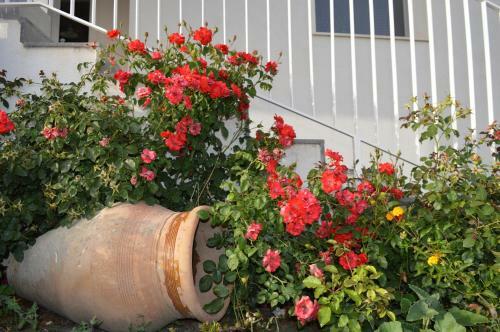 Agroturismo Agriturismo Le 5 Pietre