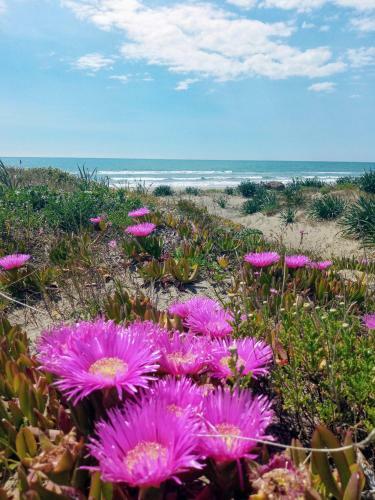 Apartamento La Casina Sulla Spiaggia