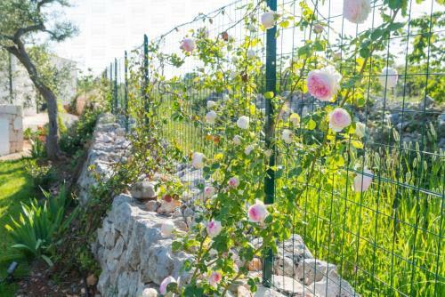 Helloapulia - Villa "i Trulli L'aia Di Cucumo"