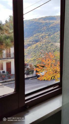 Hostal Affittacamere Adonis
