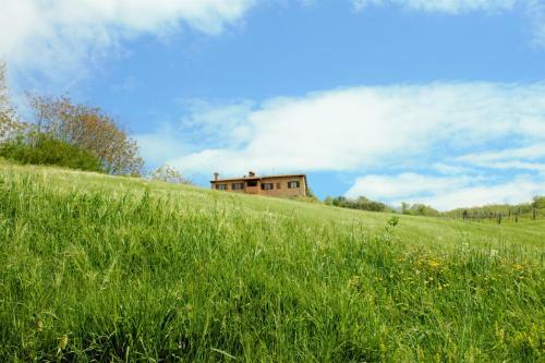 Agroturismo Agriturismo Il Podere