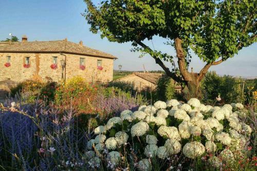 Villaflair - Chianti Villa