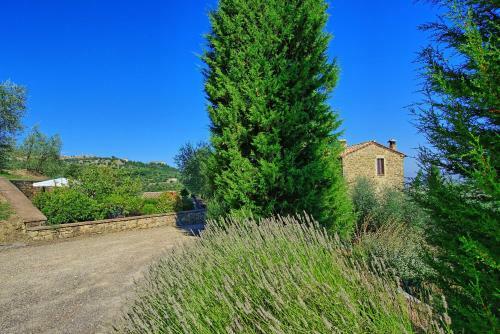 Montalcino Villa Sleeps 8 Pool Wifi