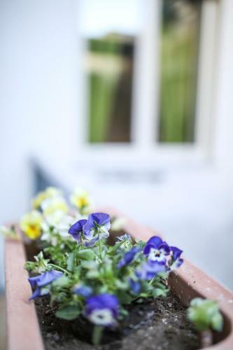 Hostal Il Vicoletto Di Santa Lucia