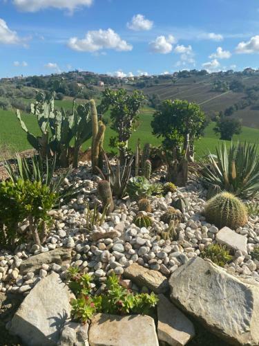 Agroturismo Casale Dei Cinque Colli